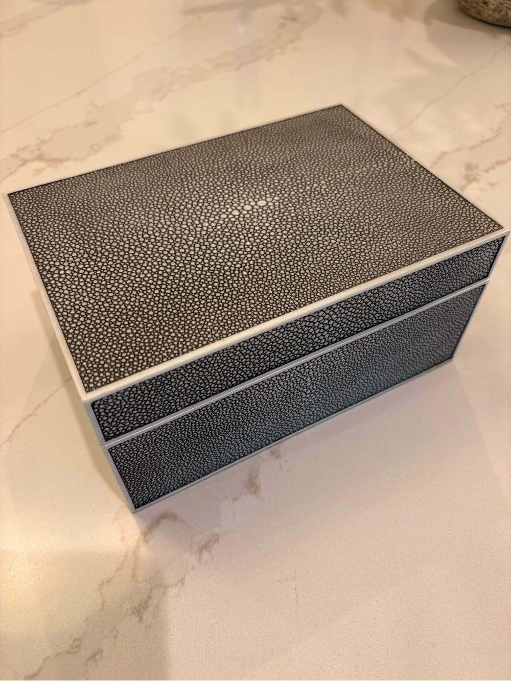 Shagreen Gray and White Decorative Box